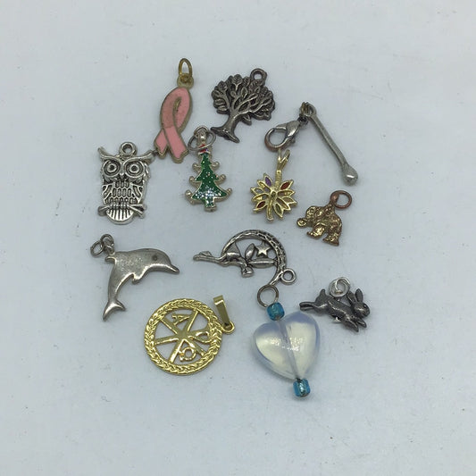 Assortment of Ten Charms IV