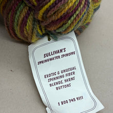 Load image into Gallery viewer, Sullivan’s Springwater Spinoffs 9oz Multicolor Hand Dyed Yarn
