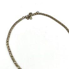 Load image into Gallery viewer, Madewell Silver Plate Rope Chain
