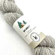 Load image into Gallery viewer, Scout Yarn Skein
