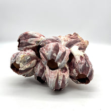 Load image into Gallery viewer, Natural Purple Acorn Barnacle Cluster
