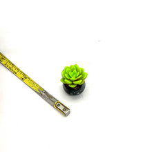Load image into Gallery viewer, Mini Succulent Plant
