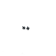 Load image into Gallery viewer, Mini Ants
