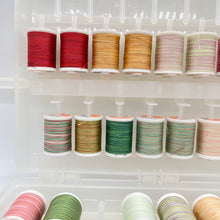 Load image into Gallery viewer, Sulky Thread Storage Box with Cotton Blendables Thread - 43 Colors
