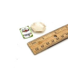Load image into Gallery viewer, Miniature Fancy Dish &amp; Menu
