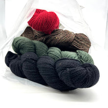 Load image into Gallery viewer, Knitted Wool Sweater Kit by The Philosopher&#39;s Wool Co.
