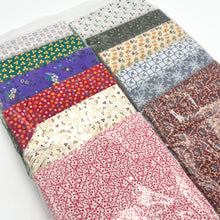 Load image into Gallery viewer, Keepsake Quilting &#39;Marvelous Miniatures&#39; Fabric pack
