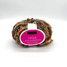 Load image into Gallery viewer, Circus Wool Yarn
