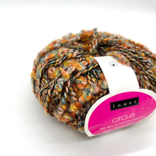 Load image into Gallery viewer, Circus Wool Yarn
