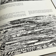 Load image into Gallery viewer, Anamorphoses Book
