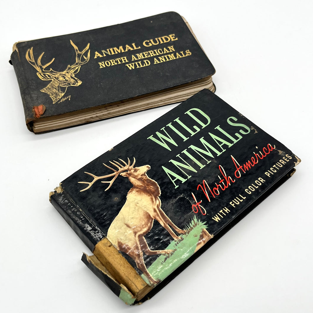 Rare Antique Wild Animal Guides