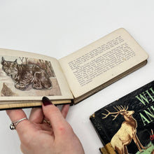 Load image into Gallery viewer, Rare Antique Wild Animal Guides
