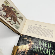 Load image into Gallery viewer, Rare Antique Wild Animal Guides
