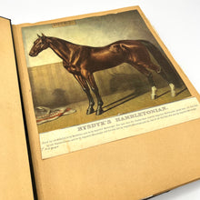Load image into Gallery viewer, &#39;Hay is for Horses&#39; Vintage Horse Scrapbook
