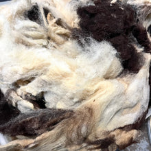 Load image into Gallery viewer, Jacob Fleece, Raw Unwashed Uncarded Wool (aprox 2.5 lbs) LOCAL PICKUP ONLY
